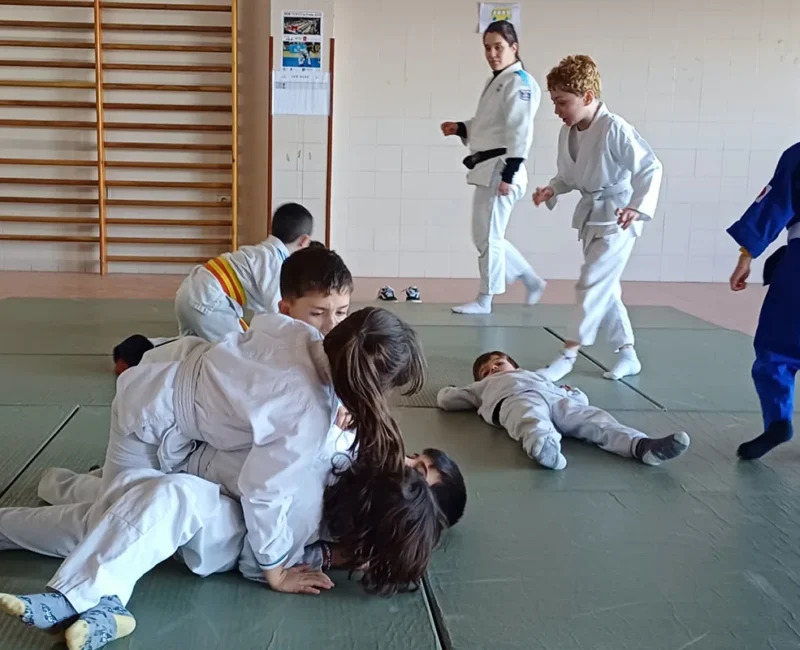 12-colegiovigo-infantil-primaria-eso-bachilleratos-fpb-gimnasio