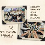 COLLEITA FINAL NA NOSA HORTA ESCOLAR!